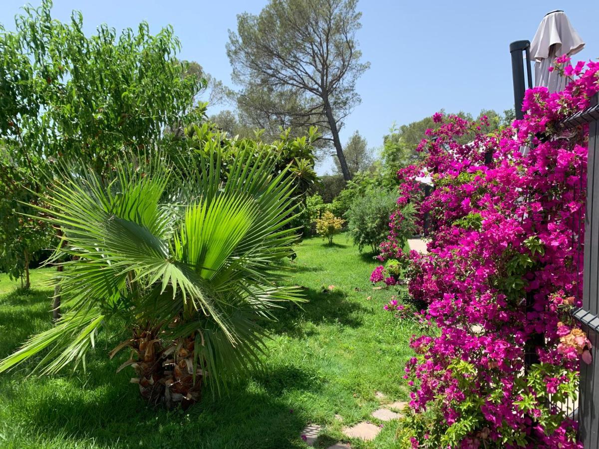 Apartment La Balma - 4 Avec Jardin En Maison Passive De Plain Pied A Frejus-saint-raphael Frejus